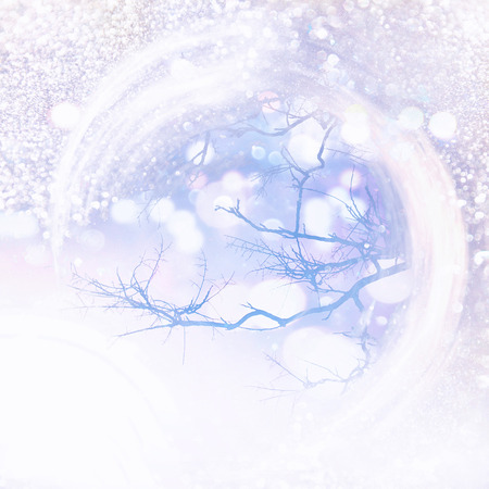 abstract glitter lights background with tree bare branches. de-focusedの写真素材