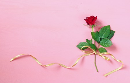 Top view of red rose on pastel pink background.の写真素材