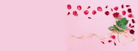 Top view of red rose on pastel pink background.の写真素材