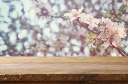 wooden rustic table in front of spring cherry blossoms tree. vintage filtered image. product display and picnic conceptの写真素材