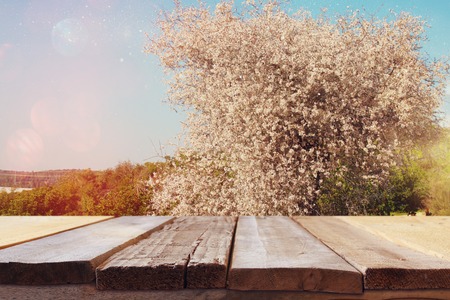 wooden rustic table in front of spring white cherry blossoms tree. vintage filtered image. product display and picnic conceptの写真素材