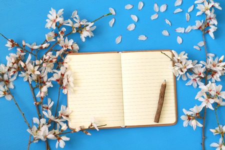 top view image of spring white cherry blossoms tree and open notebook on blue wooden backgroundの写真素材