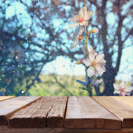 wooden rustic table in front of spring cherry blossoms tree. vintage filtered image. product display and picnic conceptの写真素材
