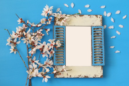 top view image of spring white cherry blossoms tree and blank photo frame on blue wooden background. Ready to put photographyの写真素材