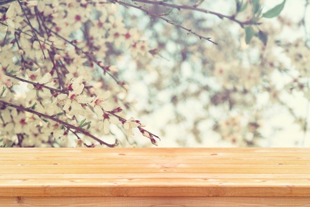 wooden rustic table in front of spring white cherry blossoms tree. vintage filtered image. product display and picnic conceptの写真素材