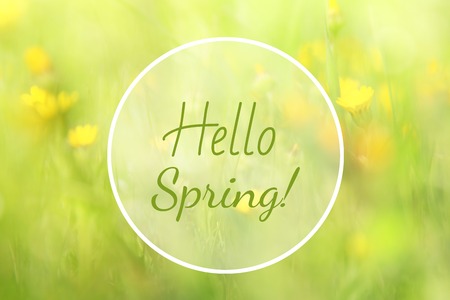 abstract dreamy photo of spring meadow with wildflowersの写真素材