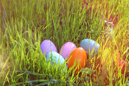 easter colorful eggs on the green grass.の写真素材