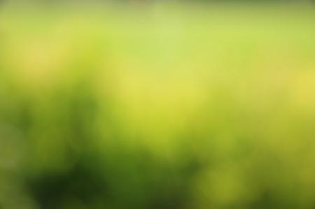 glitter green vintage lights background. defocused.の写真素材