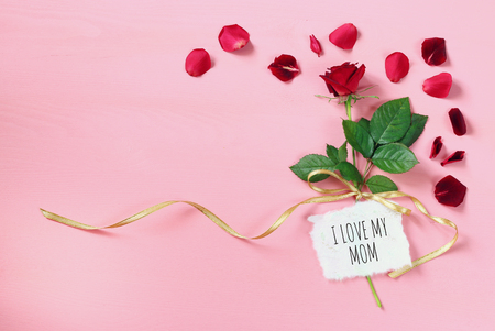 mother's day concept with rose on pink wooden backgroundの写真素材