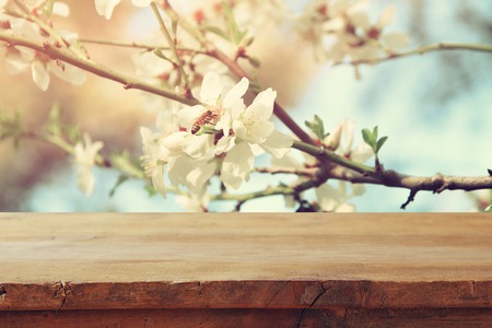 wooden rustic table in front of spring white cherry blossoms tree. vintage filtered image. product display and picnic conceptの写真素材