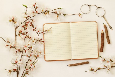 top view image of spring white cherry blossoms tree and open notebook on wooden backgroundの写真素材