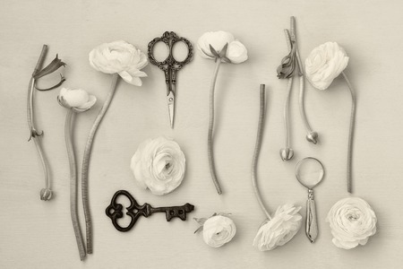 image of spring white flowers on wooden background. flat lay. black and white photoの写真素材