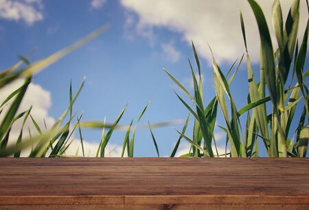 Empty rustic table in front of low angle view of fresh grass. product display and picnic conceptの写真素材