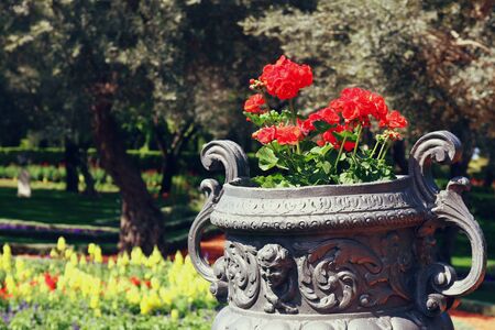 image of Ornamental Stone Vase at botanical garden during sunny dayの写真素材