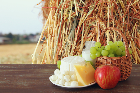Image of dairy products and fruits on wooden table. Symbols of jewish holiday - Shavuotの写真素材
