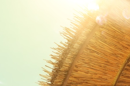 Background of bamboo beach umbrella. Tropical holiday concept.の写真素材