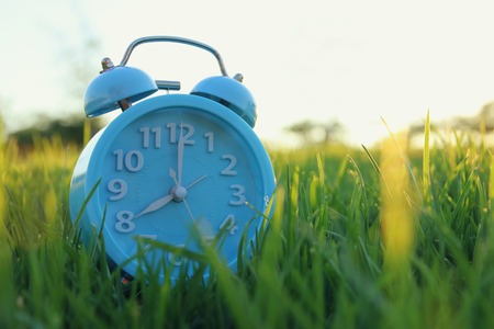 Retro alarm clock over green grass outdoors in the park.の写真素材