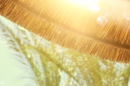 Background of bamboo beach umbrella. Tropical holiday concept.の写真素材