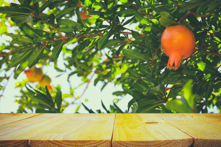 vintage wooden board table in front of dreamy pomegranate tree landscape.の写真素材