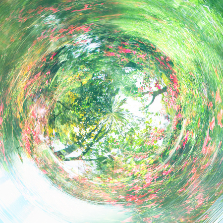 abstract swirled background of nature.