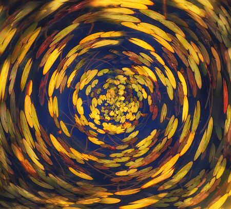abstract swirled background of nature.