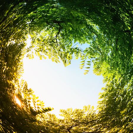 abstract swirled background of nature.