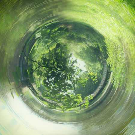 abstract swirled background of nature.
