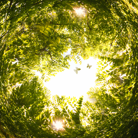 abstract swirled background of nature