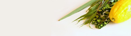 Jewish festival of Sukkot. Traditional symbols (The four species): Etrog, lulav, hadas, arava.