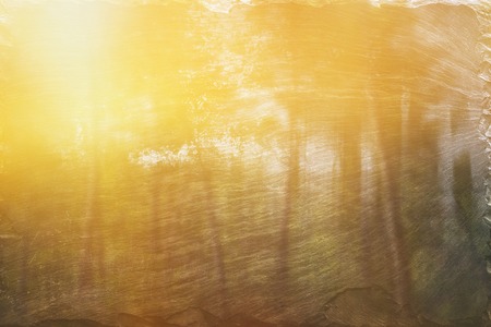 abstract photo of light burst among trees and glitter bokeh lights. image is blurred and filtered.