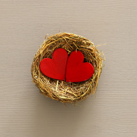Valentines day background with bird nest and couple of red hearts. Top viewの写真素材