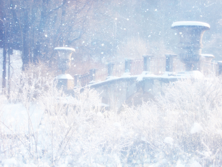 Blurry and abstract magical winter landscape photo. Glitter overlayの写真素材