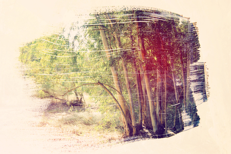 dreamy and abstract image of the forest. double exposure effect with watercolor brush stroke textureの写真素材