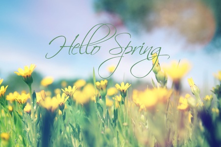 low angle view image of fresh grass. freedom and renewal concept with spring textの写真素材