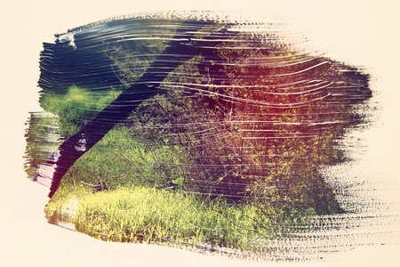 dreamy and abstract image of the forest. double exposure effect with watercolor brush stroke textureの写真素材