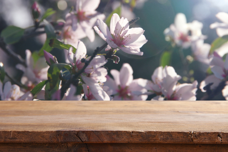wooden rustic table in front of spring cherry blossoms tree. product display and picnic conceptの写真素材