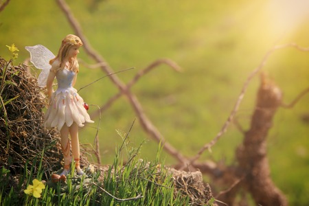 image of magical little fairy in the forest