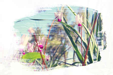 dreamy and abstract image of the meadow with green young grass. double exposure effect with watercolor brush stroke textureの写真素材