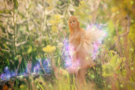 image of magical little fairy in the forestの写真素材