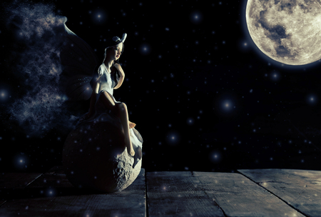 image of magical little fairy sitting over the stone at moonlightの写真素材