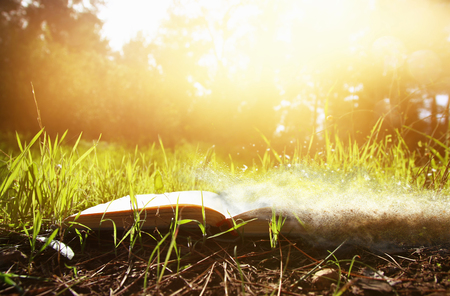 open old book over green spring grass in forest at sun lightの写真素材