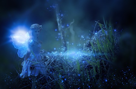 image of magical little fairy in the night forestの写真素材