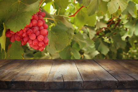Image of wooden table in front of blurred vineyard landscape. Ready for product display montageの写真素材