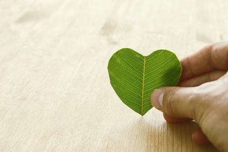 man hand holding Heart Shape Green Leaf, Earth day concept. giving and health conceptの写真素材