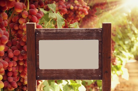 image of signpost in countryside landscapeの写真素材