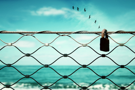 freedom concept. image fence and old rusty lock and birds flying in the horizon. everything is possibleの写真素材