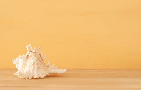 nautical, vacation and travel image with sea life style objects over wooden tableの写真素材