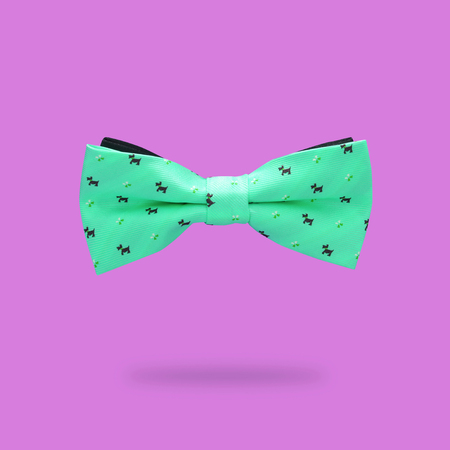 minimal concept. green male bowtie over colorful backgroundの写真素材
