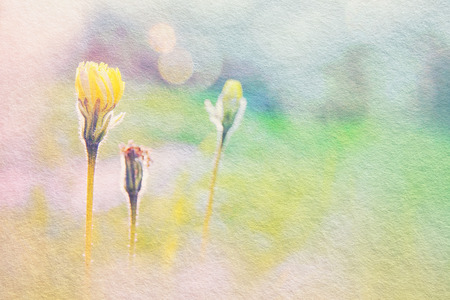 low angle view image of fresh grass and spring flowers with textureの写真素材