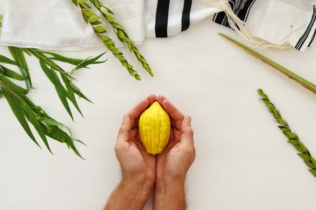 Jewish festival of Sukkot. Traditional symbols (The four species): Etrog, lulav, hadas, aravaの写真素材